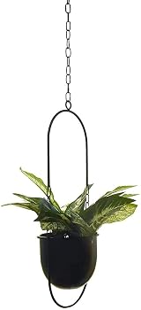 Beihaoer Metal Boho Hanging Planter for Indoor Plants - Black view 6