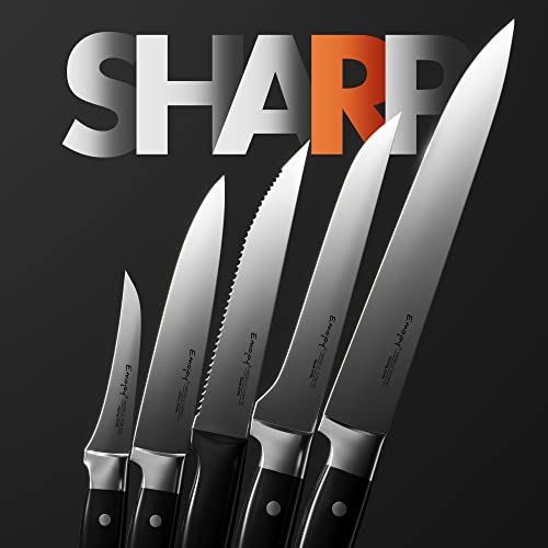 Emojoy 22Piece Kitchen Knife Set with Block, Include 2pair Chef
