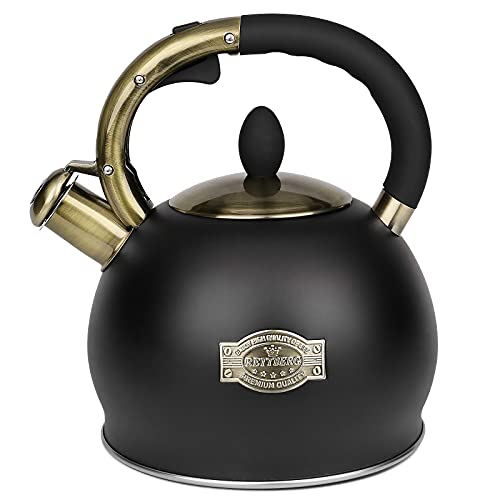 RETTBERG Tea Kettle for Stovetop Whistling Tea Kettles Retro Black