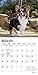 Welsh Corgis 2020 Calendar