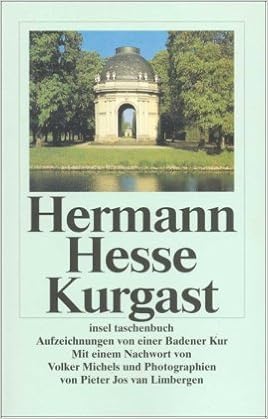 Kurgast Aufzeichnungen Von Einer Badener Kur Insel Taschenbuch Amazon De Hesse Hermann Limbergen Pieter Jos Van Michels Volker Bucher