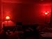 TORCHSTAR LED A19 Red Bulbs, 7W (40W Equivalent), E26 Base Colored Light Bulb, for Party, Thanksgiving, Halloween, Christmas, Holiday, Bedroom, Living Room, Baby's Room Lights, Pack of 6