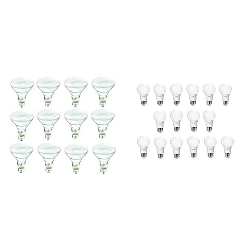 Philips 12-Pack Soft White 65-Watt BR30 Indoor Flood Light Bulbs + Philips LED Non-Dimmable 16 – Pack A19 Soft White Frosted Light Bulbs: 800-Lumen, 2700-Kelvin, 8.5-Watt (60-Watt Equivalent)