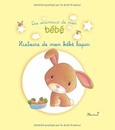 Histoire de mon bébé lapin