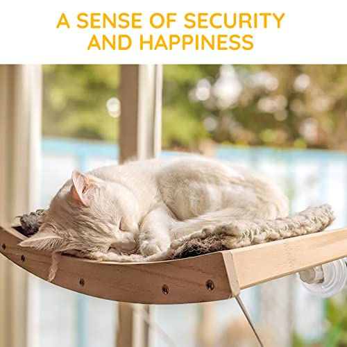 cat window ledge petsmart