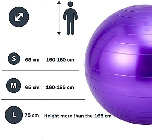 バランスボール 紫のエクササイズボール 肥厚アンチバーストスタビリティボールチェア 男の子用ピラティス ヨガ 跳ねる ストレス解消 Size 55cm 21 6 B0255b2d 1 871円 人気海外一番 100 品質保証 全品送料無料 即日出荷 Sale開催中