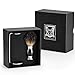 Shaving Brush Set - Professional Shaving Brush with 100% Pure Badger Bristles -Black Resin Handle - Solid Chrome Shaving Brush Stand for Wet Shave