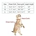Unihubys Cat Harness with Leash Set- Adjustable Soft Mesh Material with Strong D-Ring for Peace of Mind, Great for Walking (M, Beige)