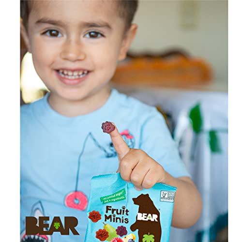 BEAR Real Fruit Snack Minis, Raspberry/Blueberry, No added Sugar, All