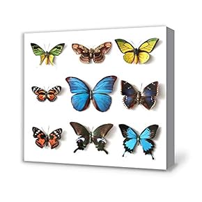 Canvas Wall Art for Living Room,Bedroom Home Artwork Paintings Butterfly Ready to Hang - 12x12 inches
