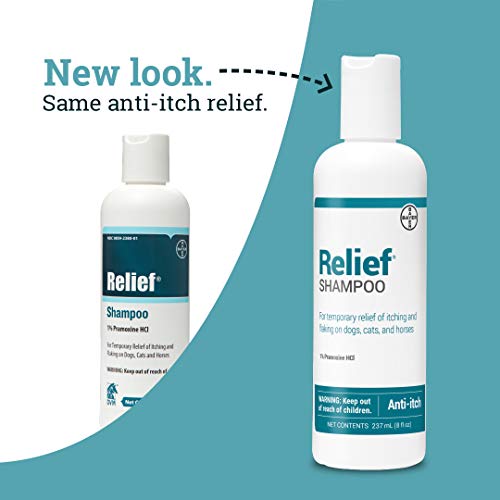 Relief Shampoo, temporary relief of itching and flaking, moisturizer