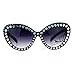 SA106 Iced Out Engraving Bling Womens Thick Plastic Cat Eye Sunglasses