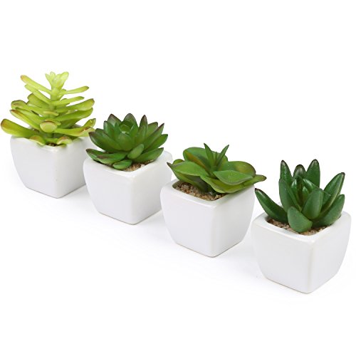 Set of 4 Decorative Mini Artificial Succulents / Plastic Synthetic Plants with White Ceramic Planter Pots