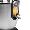 Princess Citrus Juicer Champion – Professional Orange and Lemon Squeezer – Stainless Steel – Lever arm – Universal Cone…