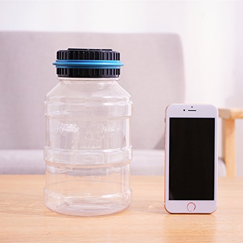 Coin Piggy Bank Saving Jar, Winnsty Digital Coin Counter with LCD Display Large Capacity Money Saving Box for All US Coins