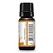 Plant Therapy Autumn Breeze Fall Essential Oil Blend 10mL (1/3 oz) Sweet Citrus & Floral Scent, Uplifting & Cheerful, Brings The Sense of Autumn Indoors