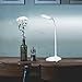Desk Light Table lamp Portable Rechargeable Reading Light Lamp 5W 3000 mAh Battery Powered Eye Care LED