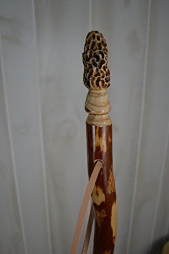 Morel Mushroom Walking Stick in Sassafras, Mushroom Hunting Stick, 60" by Creation Carvings