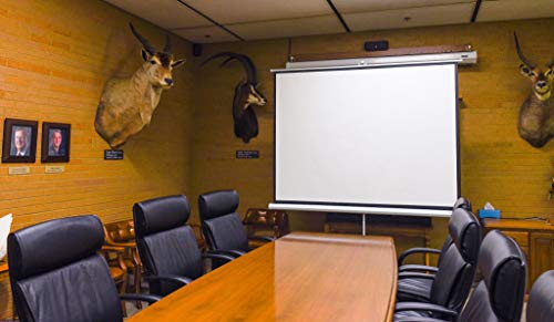 FOSSA 100 Inch Outdoor/Indoor Adjustable Portable Projector Screen with Stand | 4:3 Resolution