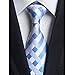 Eneston Men's Classic Checks Light Blue Jacquard Woven Silk Tie Necktie