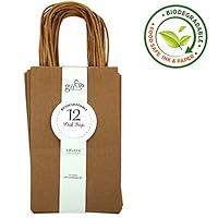 GIFT EXPRESSIONS Premium Quality Natural Brown Kraft Bag, Birthday Party Gift Favor Bag Set, Biodegradable Paper (12CT, Solid Small)