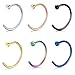 Feramox 18G 316L Stainless Steel Nose Rings Hoop Nose Piercing Body Jewelry 6PCS-10mm