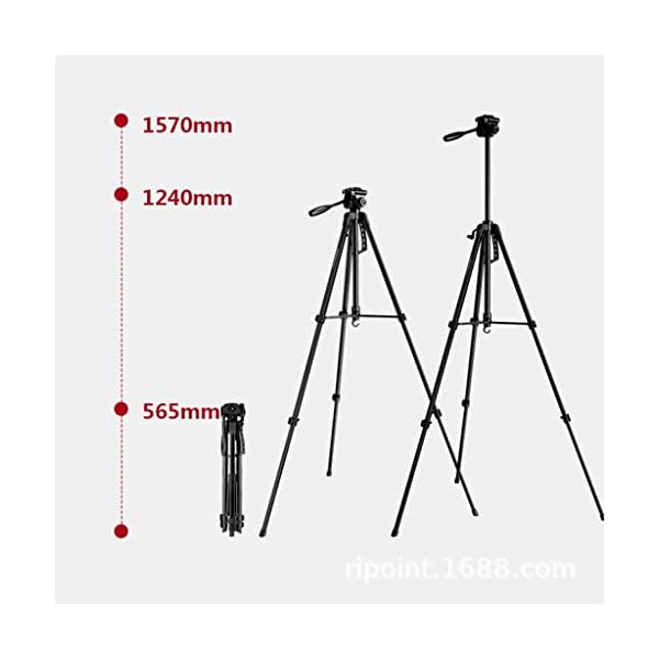 XYSQWZ Spiegelreflexkamera Stativ Fotograf Outdoor Adventure Kameraständer Stabilisator - Studentin Tragbares… – Bild 3