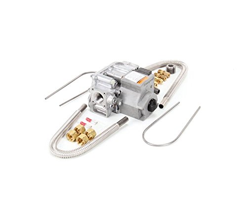 Frymaster 807-3645 Natural Gas Valve
