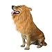 royalwise Lion Mane Costumes Dog Wig Lion Hair for Large Dogs Soft Touch Comfortable Fancy Hair Pet Apparel Cosplay primary