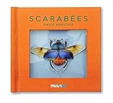 Scarabées by 