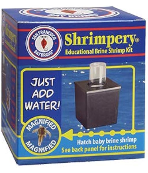 Amazon Com San Francisco Bay Brand Shrimpery Brine Shrimp Kit For Hatching Baby Brine Shrimp Aquarium Breeding Tanks Pet Supplies Amazon Com San Francisco Bay Brand Shrimpery Brine Shrimp Kit For Hatching Baby Brine Shrimp Aquarium Breeding Tanks Pet Supplies