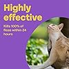 Bob Martin Clear | Cat Flea Tablets, also Suitable for Small Dogs and Puppies (1-11 kg) | Effective Treatment, Kills 100…