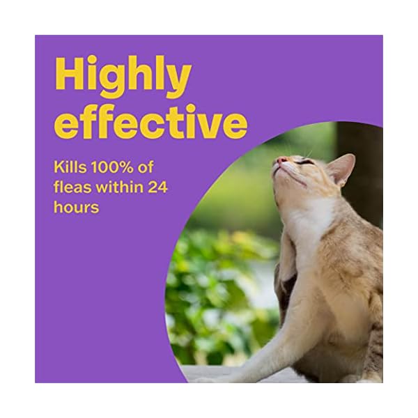 Bob Martin Clear | Cat Flea Tablets, also Suitable for Small Dogs and Puppies (1-11 kg) | Effective Treatment, Kills 100…