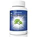 Ginkgo Biloba 120 Mg Extract Helps Mental Focus & Clarity (3 Month Supply)