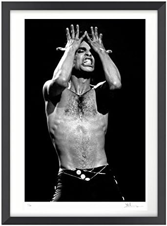 Stunning! Pop Music Artist Formerly Known as Prince Large Framed Fine Art Limited Edition Photo 104/500 (17.2 inches x 22.1 inches - 43.7cm x 56.3cm)