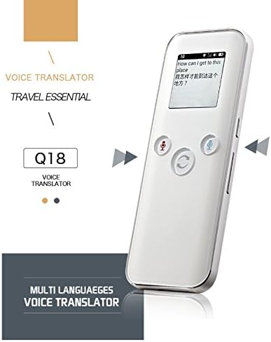 Instant Voice Translator, Translate Your Voice To or From 16 Languages Instantly in Both Voice and Text (silver)