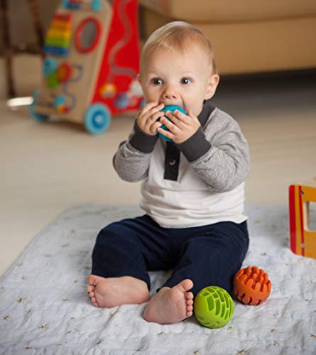 3 Fat+Brain+Toys+Sensory+Rollers
