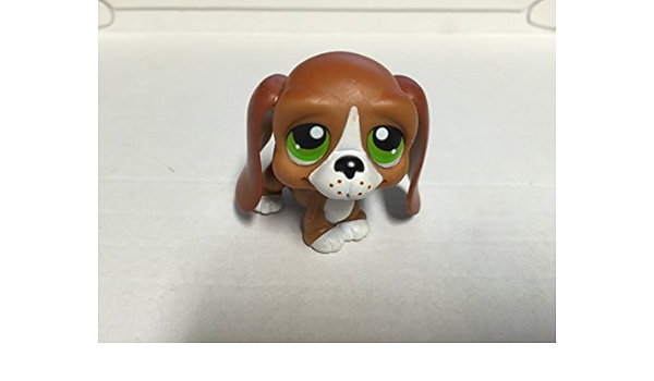 littlest pet shop 312
