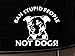 Ban Stupid People Not Dogs Pitbull Dog Ipad Vinyl Car Window Decal Sticker Pit Bull