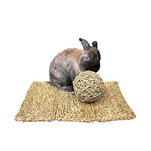 MadeTerra 2 Tappetini e 2 palline per animali domestici,conigli,criceti,porcellini d'India,cincillà e giocattoli da…