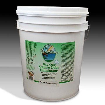 Biokleen Bac Out Stain and Odor 5 Gal Pail
