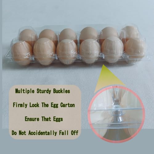 LSGENGXCY 100 piece Disposable Transparent Egg Cartons, 12 Plastic Egg Storage Containers, 2 Rows And 6 Columns of Empty Egg Cartons.2 * 6 (ZF-DH-2 * 6-100-1)