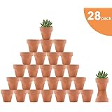 Riseuvo 32pcs 2