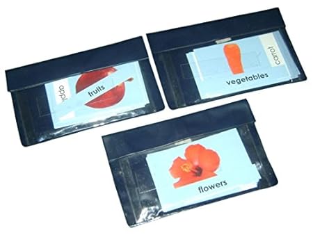 Kido Montessori Materials - Botany - Loosely grouped flowers, veg and fruits