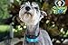 Athenas Pets Bark Collar, Humane Dog Bark Collar Using Beep, Vibration, No Shock, Rechargeable Bark Collar All Breeds, Bark Collar Small Dog, Medium Dog, Blue, Pink, Green Anti Bark Collar