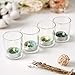 Clear Votive Candle Holder Glass Tealight Candle Holders Bulk Set of 48 for Wedding Decor and Home Decor (Clear-2)