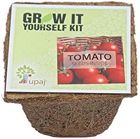 Upaj Grow It Yourself Veg Small Tomato Kit (Pack Of 1)