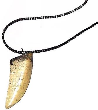 Prehistoric Planet Store - Tyrannosaurus rex Tooth Necklace (replica) 164