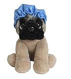 Kids Preferred Doug The Pug Squeaky Clean Large Stuffed Animal, 10
