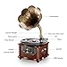 LuguLake Bluetooth Phonograph Record Player Turntable, Library Vintage Phonograph Gramophone with Copper Horn, Built-in Independent subwoofer 3.5mm Aux-in/ USB/FM for Home, Officethumb 1